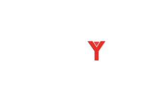 logo-inscyd